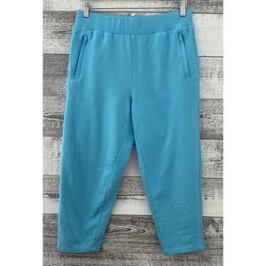 T By Talbots Women's Med 30x22 Joggers Pull On Blue Athleisure Pants UPF 50+